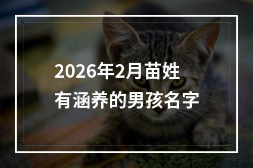 2026年2月苗姓有涵养的男孩名字