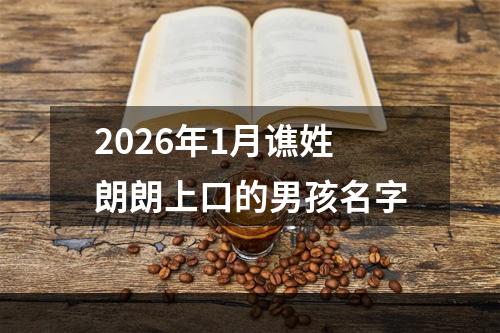2026年1月谯姓朗朗上口的男孩名字