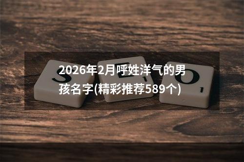 2026年2月呼姓洋气的男孩名字(精彩推荐589个)