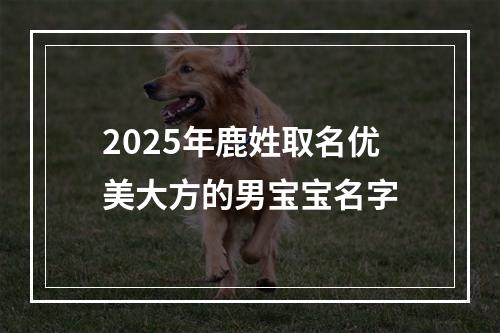 2025年鹿姓取名优美大方的男宝宝名字