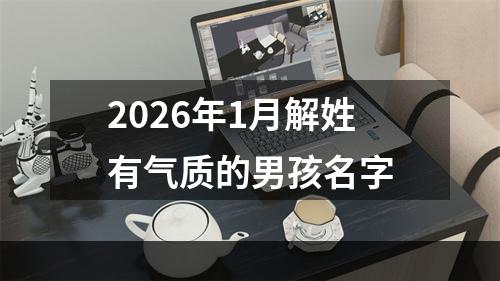 2026年1月解姓有气质的男孩名字