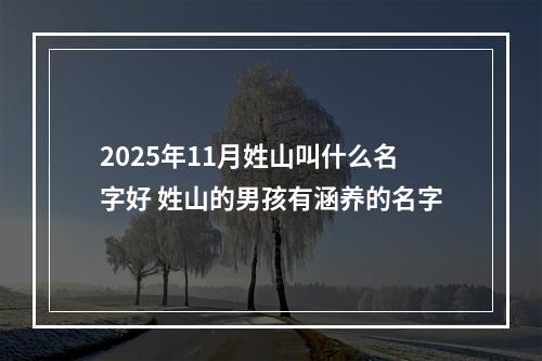 2025年11月姓山叫什么名字好 姓山的男孩有涵养的名字