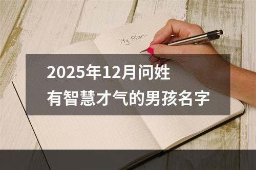 2025年12月问姓有智慧才气的男孩名字