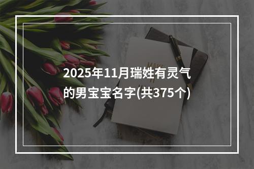 2025年11月瑞姓有灵气的男宝宝名字(共375个)