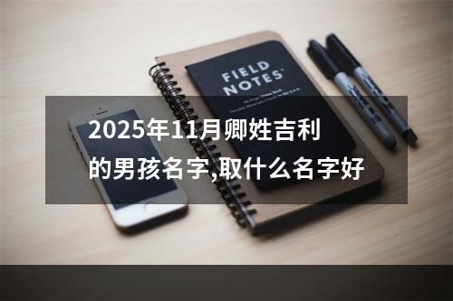 2025年11月卿姓吉利的男孩名字,取什么名字好