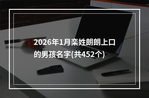 2026年1月栾姓朗朗上口的男孩名字(共452个)