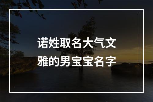 诺姓取名大气文雅的男宝宝名字
