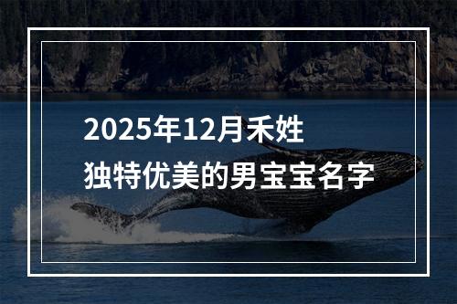 2025年12月禾姓独特优美的男宝宝名字