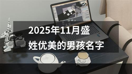 2025年11月盛姓优美的男孩名字