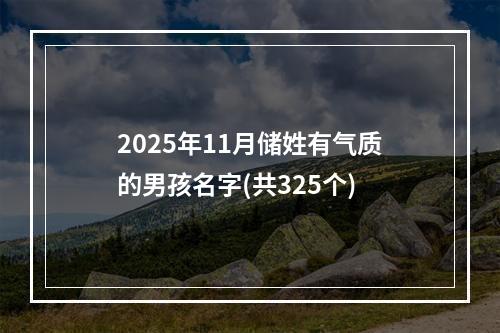 2025年11月储姓有气质的男孩名字(共325个)