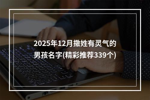 2025年12月撒姓有灵气的男孩名字(精彩推荐339个)
