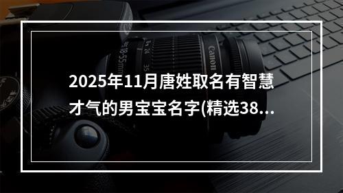 2025年11月唐姓取名有智慧才气的男宝宝名字(精选387个)