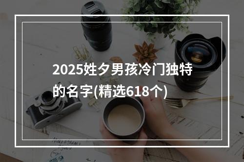 2025姓夕男孩冷门独特的名字(精选618个)