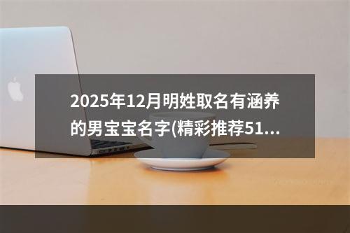2025年12月明姓取名有涵养的男宝宝名字(精彩推荐512个)