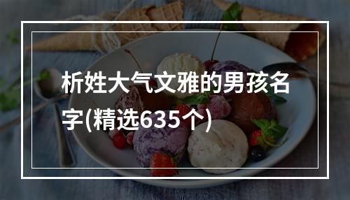 析姓大气文雅的男孩名字(精选635个)