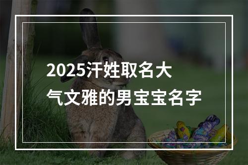 2025汗姓取名大气文雅的男宝宝名字