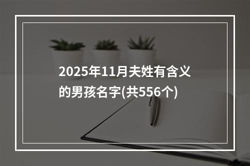 2025年11月夫姓有含义的男孩名字(共556个)