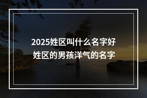 2025姓区叫什么名字好 姓区的男孩洋气的名字