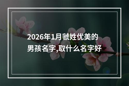 2026年1月虢姓优美的男孩名字,取什么名字好