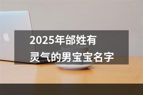 2025年邰姓有灵气的男宝宝名字