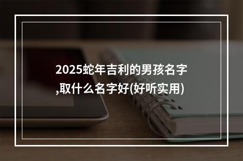 2025蛇年吉利的男孩名字,取什么名字好(好听实用)