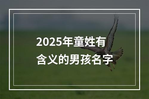 2025年童姓有含义的男孩名字