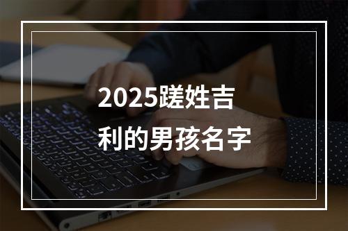 2025蹉姓吉利的男孩名字