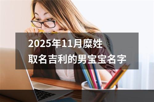 2025年11月糜姓取名吉利的男宝宝名字