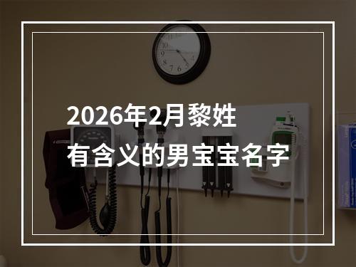 2026年2月黎姓有含义的男宝宝名字
