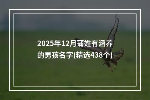 2025年12月蒲姓有涵养的男孩名字(精选438个)