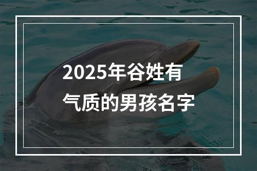 2025年谷姓有气质的男孩名字