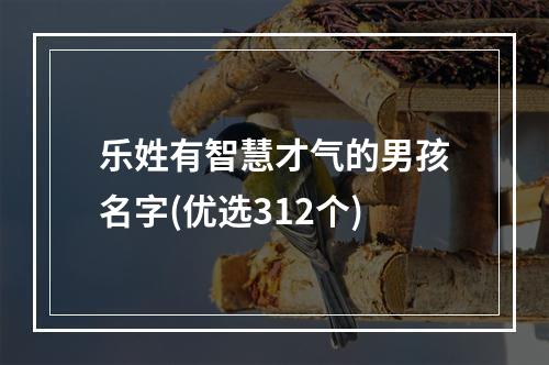 乐姓有智慧才气的男孩名字(优选312个)