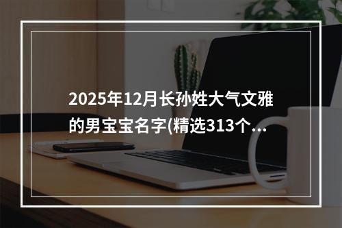 2025年12月长孙姓大气文雅的男宝宝名字(精选313个)