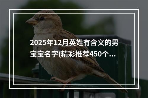 2025年12月英姓有含义的男宝宝名字(精彩推荐450个)