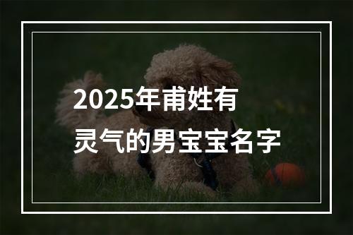 2025年甫姓有灵气的男宝宝名字