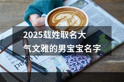 2025载姓取名大气文雅的男宝宝名字