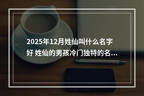 2025年12月姓仙叫什么名字好 姓仙的男孩冷门独特的名字