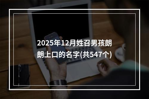 2025年12月姓召男孩朗朗上口的名字(共547个)