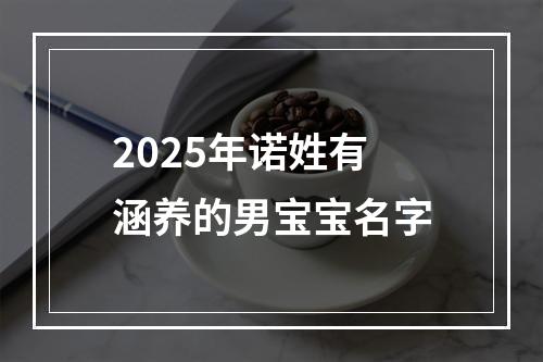 2025年诺姓有涵养的男宝宝名字
