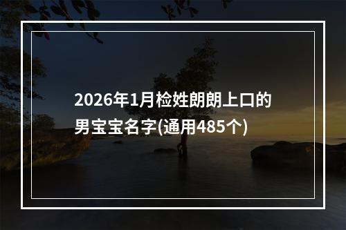 2026年1月检姓朗朗上口的男宝宝名字(通用485个)