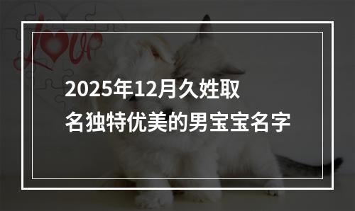 2025年12月久姓取名独特优美的男宝宝名字