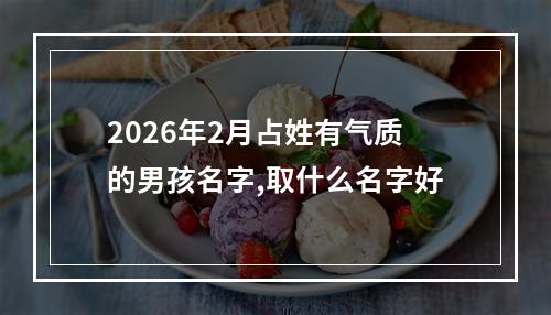 2026年2月占姓有气质的男孩名字,取什么名字好