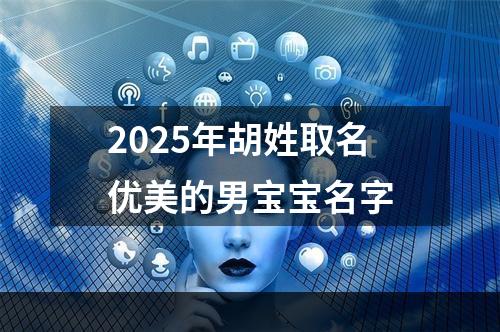 2025年胡姓取名优美的男宝宝名字