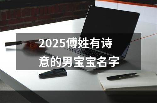 2025傅姓有诗意的男宝宝名字