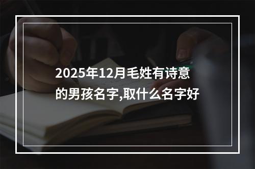 2025年12月毛姓有诗意的男孩名字,取什么名字好
