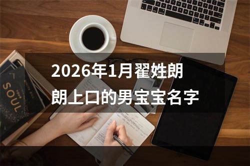 2026年1月翟姓朗朗上口的男宝宝名字