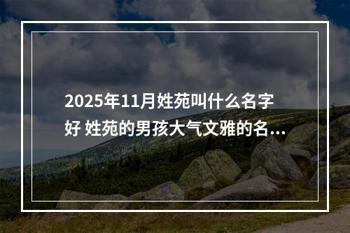 2025年11月姓苑叫什么名字好 姓苑的男孩大气文雅的名字