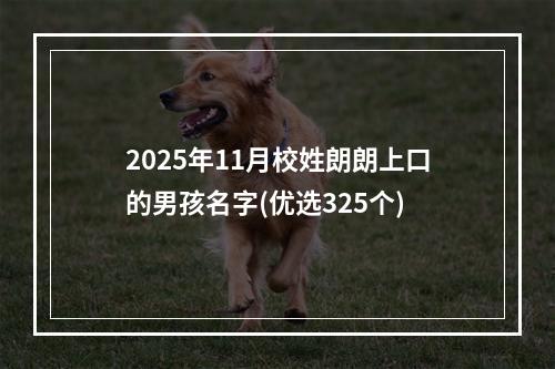 2025年11月校姓朗朗上口的男孩名字(优选325个)