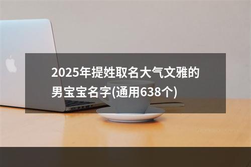 2025年提姓取名大气文雅的男宝宝名字(通用638个)