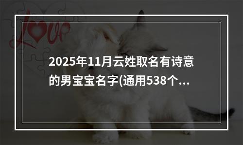 2025年11月云姓取名有诗意的男宝宝名字(通用538个)